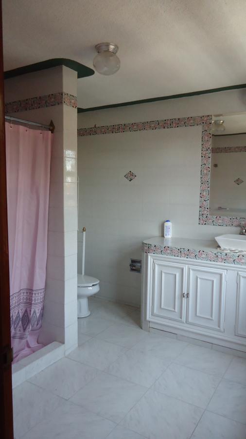 Casa De Los Abuelos Hotel ซานมิเกล เด อาเญนเด ภายนอก รูปภาพ